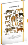Presco Keménytáblás notesz krémszínű lapokkal, vonalas, leszorító gumiszalaggal Animalium - Felines 130x210mm, Presco - papirx