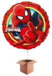 Anagram Balon folie SpiderMan Ultimate 43cm 026635263504