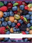 Nebulo Caiet Nebulo: liniat, format A4, cu fructe pe copertă, 81-32 (VO-LD-A4-20250213)