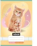 Nebulo Nebulo: Caiet liniat pentru clasa a 3-a, format A5, 12-32, cu animale - Pisici (VO3-AM-A5-12346813)