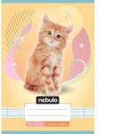 Nebulo Nebulo: Caiet cu linii pentru clasa a 2-a A5 16-32 Animale - Pisici (VO2-AM-A5-12346738)