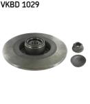 SKF Disc Frana Vkbd1029 Renault Scénic Iii (VKBD1029)