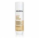 Goldwell Dualsenses Rich Repair Restoring Shampoo 250 ml