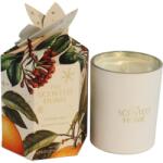 Ashleigh & Burwood The Scented Home Christmas Spice lumânare parfumată 170 g