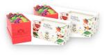 English Tea Shop Exclusive adventi teakalendárium bio 25 db DUO 2 db - naturreform