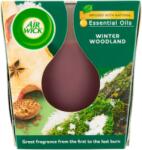 Air Wick Lumânare AirWick 105g Pădure de iarnă