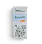 Herbatrend Cickafark Filteres Tea 20db