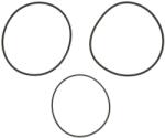REINZ Set Garnitura pentru Garnitura Atlas Xas 90 Bobcat 975 Claas 546 556 557 566 410 420 430 540 456 Ra 456 Rc 456 Rx Ditch (15-41981-01)