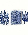 Shein Poszter Keret Nélkül 3-PACK S07__50X70