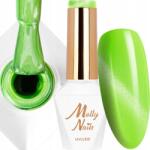 MOLLY Nails Hibrid lakk Mollynails 8g Led/uv Cat Eye Pastel Lime Nr270 (Lakier Brokatowy Na Wiosnę Blask Drobinki)