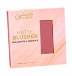 Matt rózsaszín Archoz Color Care 8g 04 Rose Sötét rózsaszín (róż matowy do twarzy 8g)