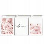 Shein Poszter Dekoráció 3-PACK UD2 S07__40X60CM