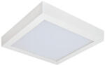 2R CAPRI S225 20W 4500K felületre szerelhető szögletes lámpatest (L090607310) - mystock