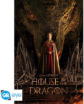 Game Of Thrones - HOUSE OF THE DRAGON - Poster Maxi 91.5x61 - One Sheet*
