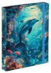Baagl füzetbox A4 Delfin (A-34821)