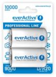 Camelion everActive akkumulátor NI-Mh góliát D HR20 10000mAh bliszteres/2 (EVHRL20-10000)