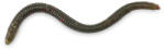 Iron Claw Drop Stuff Crawler WB 7, 5cm / 22db