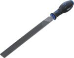 BGS technic Műhelyreszelő | lapos | 1-es vágat | 250 mm (6565)