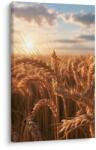 Dovido Tablou spice de grâu în lumina serii - 20x30