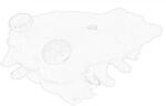 DB TRUCK Vas Expansiune Lichid Racire Mercedes Atego 3 Unimog Om934.911-om936.971 04.13- MERCEDES-BENZ ATEGO 3/UNIMOG (967500024964)