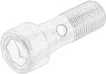 PEUGEOT Element Turbo Turbina Surub cu Furtun de Ulei pentru Turbocompresor M12x1 Cioplit Ds Ds 3 Ds 4 Ds 4 Ii Citroen (9802931080)
