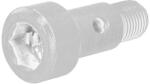 PEUGEOT Element Turbo Turbina Surub cu Furtun de Ulei 12x18 M10x100x29 Cioplit Superior Citroen Berlingo Berlingo (037655)