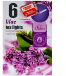 Tea lights Lumânări Tealight liliac 6 buc
