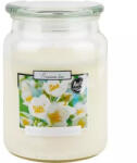 BISPOL Lumânare cu aromă de iasomie înflorită snd99-169 500g