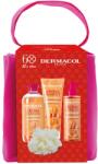 Dermacol Pachet de Crăciun Turtă dulce de sărbătoare cu gel de duș, săpun lichid și spumă de baie Aroma Moment 1 buc