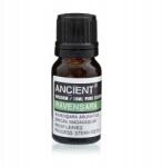 Ancient Windsom Ravensara Illóolaj, 10 ml, 100% Tiszta, Párologtatóhoz és Aromalámpához (EO-74)