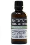 Ancient Windsom Ravensara Illóolaj, 50 ml, 100% Tiszta Párologtatóhoz és Aromalámpához (preo-74)
