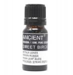 Ancient Wisdom Nyírfa Illóolaj, 10 ml, 100% Tiszta, Párologtatóhoz és Aromalámpához (5055796529131)