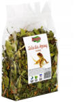 ALEGIA - plante medicinale cu larve de molie pentru agama cu barbă, 80 g