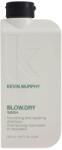 KEVIN.MURPHY Kevin Murphy, Blow Dry Wash, Hair Shampoo, For Repairing, 250 ml