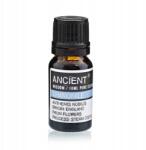 Ancient Wisdom Római Kamilla (Tiszta) Illóolaj, 10 ml, Párologtatóhoz és Aromalámpához (EO-19)
