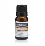 Ancient Wisdom Gyömbér Illóolaj, 10 ml, 100% Tiszta, Párologtatóhoz és Aromalámpához (EO-24)