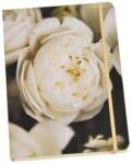 Skona Ting Notatnik B5 TW 192 strony linia Coastal Style