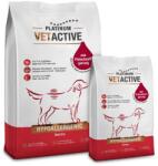 PLATINUM Vetactive Hypoallergenic 2x5 kg