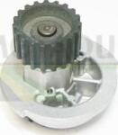 Motaquip VWP756 - Pompa apa - Motaquip-VWP756 (MOTAQUIPVWP756)