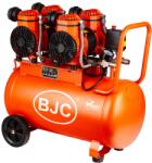 BJC 63768 B88008