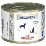 Royal Canin Recovery 195 g