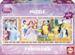 Educa Panorama Printesele Disney 100 (13500) Puzzle