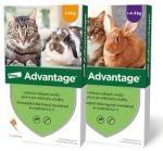 Advantage 80 Spot On 4 kg feletti 0,8 ml 4 db