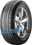 Nankang WINTER ACTIVA SV-55 245/50 R18 100H Автомобилни гуми