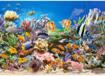 Castorland A tenger mélyének élővilága 260 db-os (B-27279)