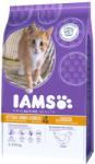 Iams Kitten & Junior 10 kg