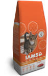 Iams Adult lamb 10 kg