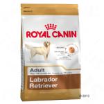 Royal Canin Labrador Retriever Adult 2x12 kg