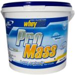 Pro Nutrition Pro Mass 6000 g