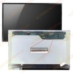 AU Optronics B141EW01 kompatibilis fényes notebook LCD kijelző